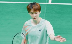 米兰百家乐-印度队横扫印尼队，陈雨菲高光表现的简单介绍