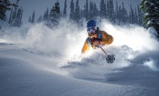 ac米兰体育官网-维也纳的节奏与纽约的心跳，当京多安成为两个世界的节拍器