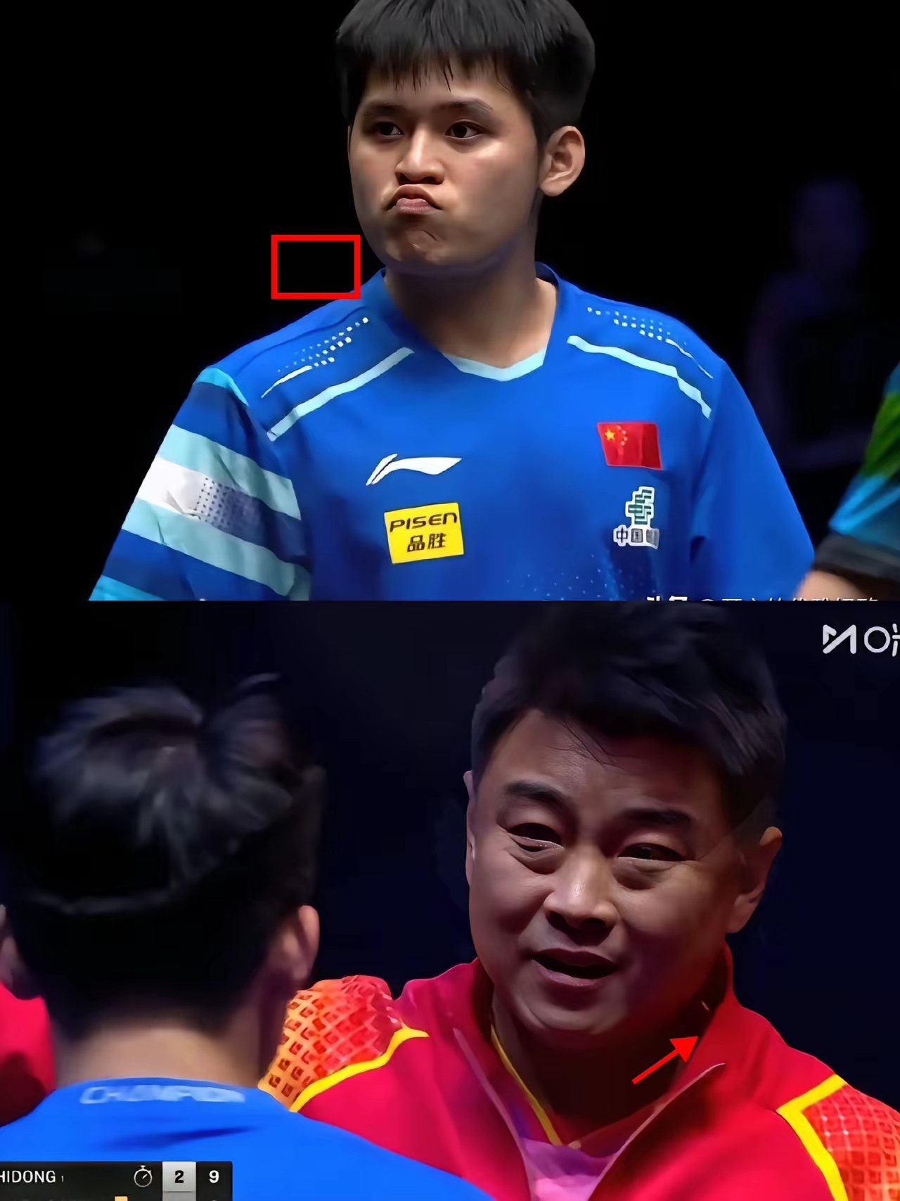 比利时乒乓球队碾压波兰乒乓球队，王皓统治全场的简单介绍