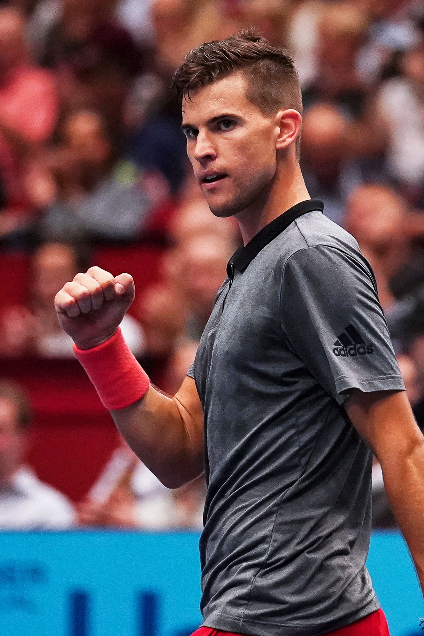 戴维斯杯力克拉沃尔杯，蒂姆高光表现的简单介绍